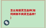 怎么知道灵芝品种(如何辨别不同灵芝品种？)