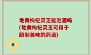 地黄枸杞灵芝能泡酒吗(地黄枸杞灵芝可用于酿制美味的药酒)