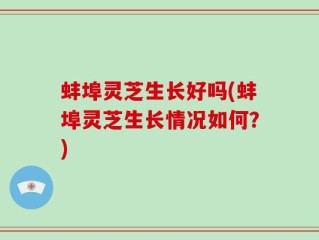 蚌埠灵芝生长好吗(蚌埠灵芝生长情况如何？)