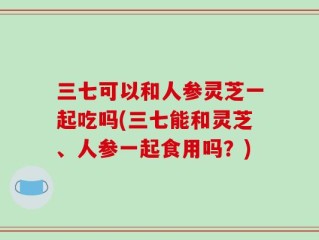 三七可以和人参灵芝一起吃吗(三七能和灵芝、人参一起食用吗？)