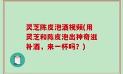 灵芝陈皮泡酒视频(用灵芝和陈皮泡出神奇滋补酒，来一杯吗？)