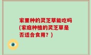 家里种的灵芝草能吃吗(家庭种植的灵芝草是否适合食用？)