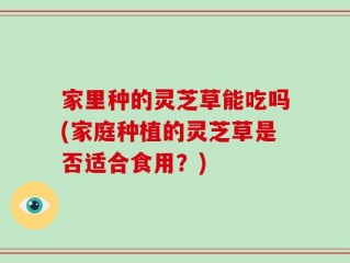 家里种的灵芝草能吃吗(家庭种植的灵芝草是否适合食用？)