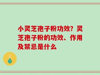 小灵芝孢子粉功效？灵芝孢子粉的功效、作用及禁忌是什么