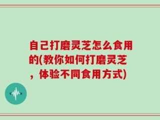 自己打磨灵芝怎么食用的(教你如何打磨灵芝，体验不同食用方式)