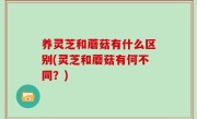 养灵芝和蘑菇有什么区别(灵芝和蘑菇有何不同？)