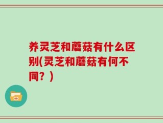 养灵芝和蘑菇有什么区别(灵芝和蘑菇有何不同？)
