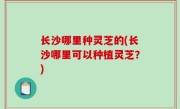 长沙哪里种灵芝的(长沙哪里可以种植灵芝？)