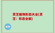灵芝植物形态大全(灵芝：形态全解)