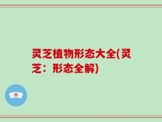灵芝植物形态大全(灵芝：形态全解)