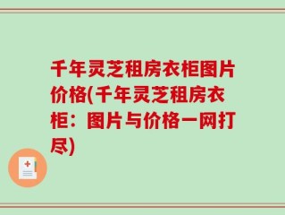 千年灵芝租房衣柜图片价格(千年灵芝租房衣柜：图片与价格一网打尽)