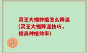灵芝大棚种植怎么降温(灵芝大棚降温技巧，提高种植效率)