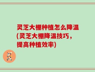 灵芝大棚种植怎么降温(灵芝大棚降温技巧，提高种植效率)