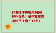 野生孢子粉收集视频(野外探险：如何收集纯净的孢子粉？47字)