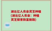 湖北亿人农业灵芝种植(湖北亿人农业：种植灵芝探索致富新路)