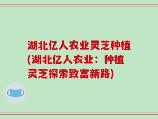 湖北亿人农业灵芝种植(湖北亿人农业：种植灵芝探索致富新路)