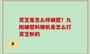 灵芝是怎么样破壁？九阳破壁料理机是怎么打灵芝粉的