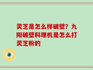 灵芝是怎么样破壁？九阳破壁料理机是怎么打灵芝粉的