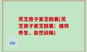灵芝孢子紫芝胶囊(灵芝孢子紫芝胶囊：强效养生，自然润燥)