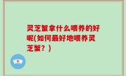 灵芝蟹拿什么喂养的好呢(如何最好地喂养灵芝蟹？)