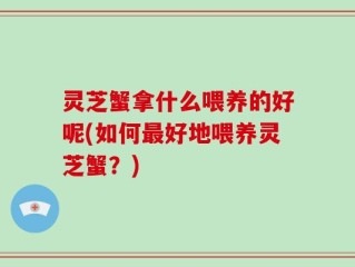 灵芝蟹拿什么喂养的好呢(如何最好地喂养灵芝蟹？)