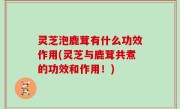 灵芝泡鹿茸有什么功效作用(灵芝与鹿茸共煮的功效和作用！)