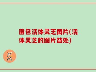 菌包活体灵芝图片(活体灵芝的图片益处)