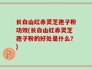 长白山红赤灵芝孢子粉功效(长白山红赤灵芝孢子粉的好处是什么？)