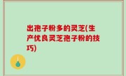 出孢子粉多的灵芝(生产优良灵芝孢子粉的技巧)