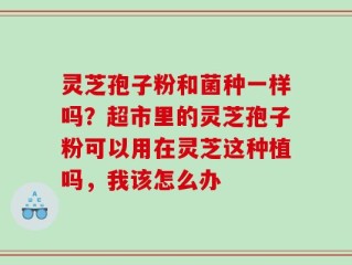 灵芝孢子粉和菌种一样吗？超市里的灵芝孢子粉可以用在灵芝这种植吗，我该怎么办