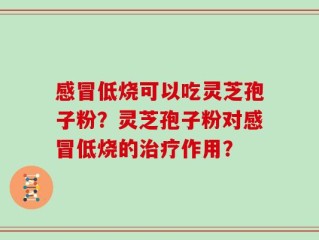 感冒低烧可以吃灵芝孢子粉？灵芝孢子粉对感冒低烧的治疗作用？