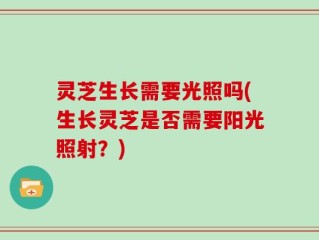 灵芝生长需要光照吗(生长灵芝是否需要阳光照射？)
