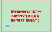 灵芝菌包源头厂家在什么地方生产(灵芝菌包原产地工厂在何处？)