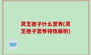 灵芝孢子什么营养(灵芝孢子营养特性解析)