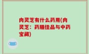 肉灵芝有什么药用(肉灵芝：药膳佳品与中药宝藏)