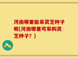 河南哪里能采灵芝种子呢(河南哪里可采购灵芝种子？)
