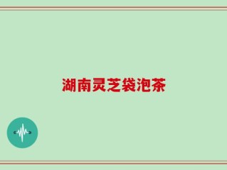 湖南灵芝袋泡茶