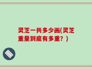 灵芝一共多少画(灵芝重量到底有多重？)