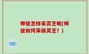 师徒怎样采灵芝呢(师徒如何采摘灵芝？)