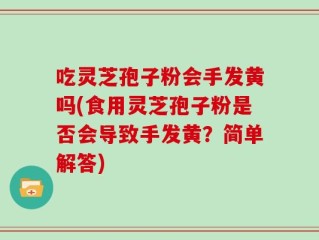 吃灵芝孢子粉会手发黄吗(食用灵芝孢子粉是否会导致手发黄？简单解答)
