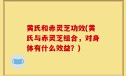 黄氏和赤灵芝功效(黄氏与赤灵芝组合，对身体有什么效益？)