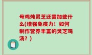 母鸡炖灵芝还需加些什么(增强免疫力！如何制作营养丰富的灵芝鸡汤？)