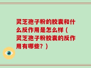 灵芝孢子粉的胶囊和什么反作用是怎么样 (灵芝孢子粉胶囊的反作用有哪些？)