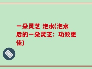 一朵灵芝 泡水(泡水后的一朵灵芝：功效更佳)