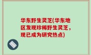 华东野生灵芝(华东地区发现珍稀野生灵芝，现已成为研究热点)