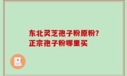 东北灵芝孢子粉原粉？正宗孢子粉哪里买