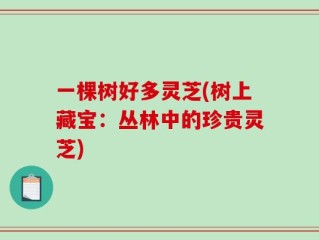 一棵树好多灵芝(树上藏宝：丛林中的珍贵灵芝)