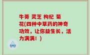 牛蒡 灵芝 枸杞 菊花(四种中草药的神奇功效，让你益生长，活力满满！)