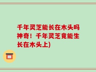千年灵芝能长在木头吗神奇！千年灵芝竟能生长在木头上)