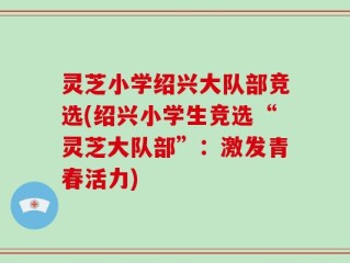 灵芝小学绍兴大队部竞选(绍兴小学生竞选“灵芝大队部”：激发青春活力)